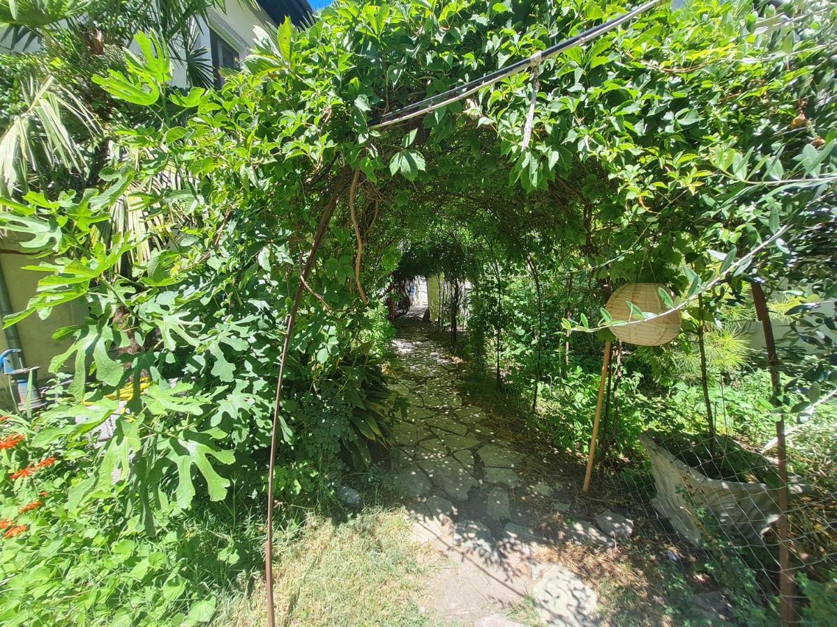 Mi Casa Es Tu Casa - Shkodra Backpackers Hostel Екстериор снимка