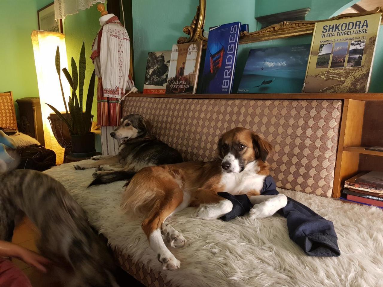 Mi Casa Es Tu Casa - Shkodra Backpackers Hostel Екстериор снимка